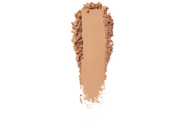 Shiseido Synchro Skin Self Refreshing Powder Fond de Teint No 240