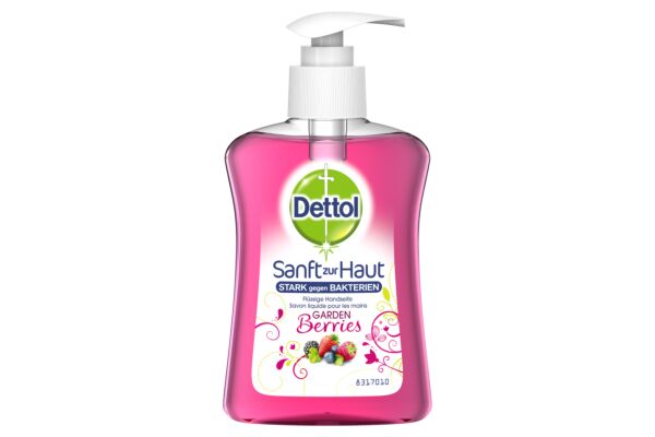 Dettol Pump-Seife Gardenberries 250 ml
