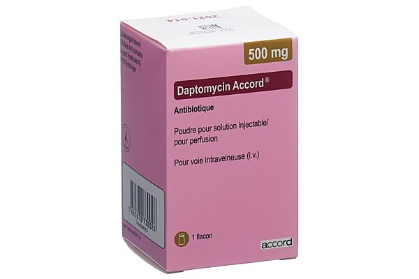 Daptomycin Accord subst sèche 500 mg pour solution injectable ou pour perfusion flac