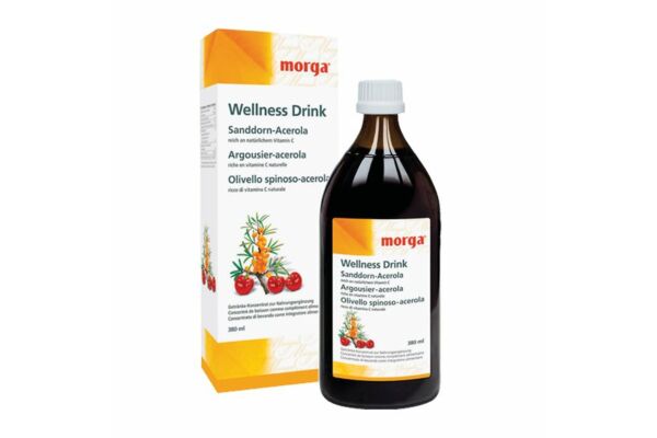 Morga Sanddorn Wellness Drink Fl 380 ml