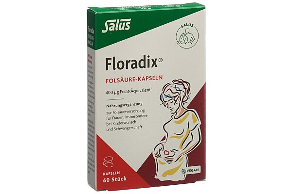 Floradix acide folique caps 60 pce