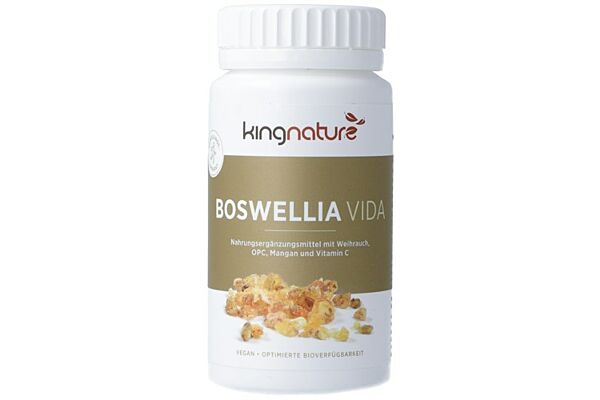 Kingnature Boswellia Vida Kaps 100 mg Ds 90 Stk