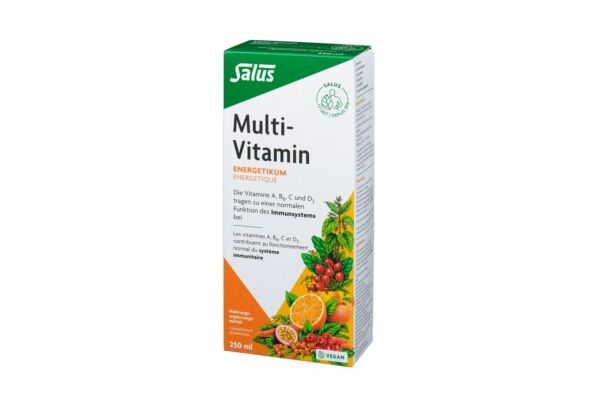 Salus Multi-Vitamines énergétique fl 250 ml