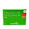 SN caladium seguinum glob 9 CH 5 x 1 g thumbnail
