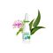 Puressentiel spray nasal décongestionnant huile essentielle bio fl 15 ml thumbnail