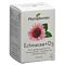 Phytopharma Echinacea + Vitamin D3 Kaps Ds 60 Stk thumbnail